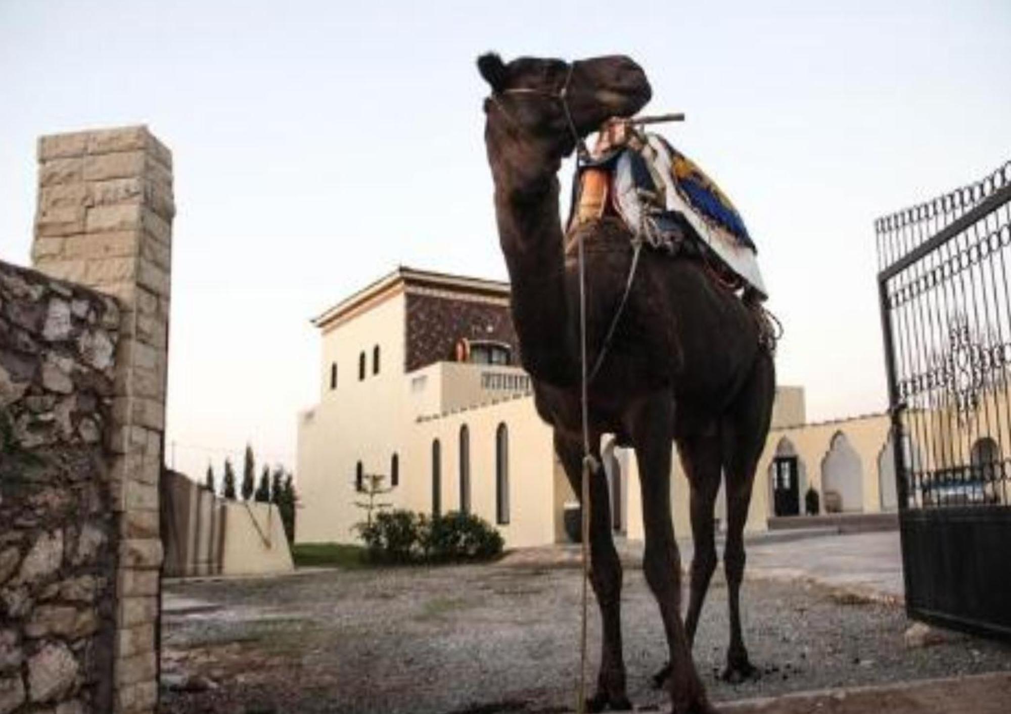 מלון Sidi Kaouki Ayt Karoum מראה חיצוני תמונה